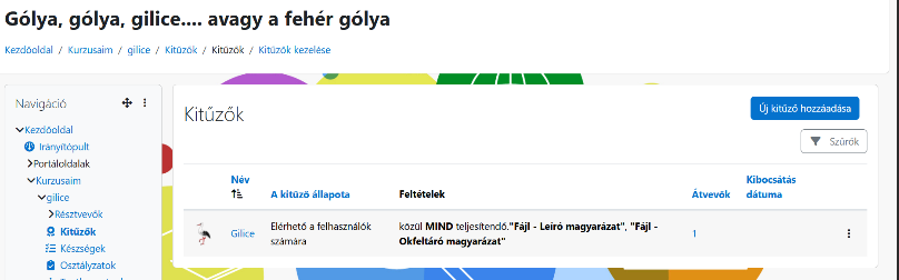 Kitűző beállítás képernyőmentés